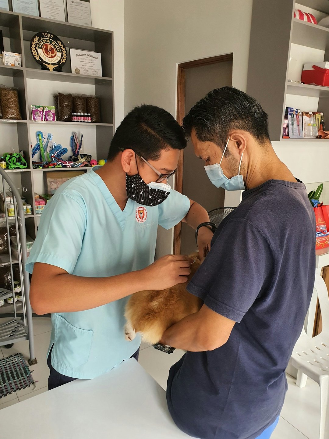 Un veterinario esamina un cane soffice tenuto dal suo proprietario.